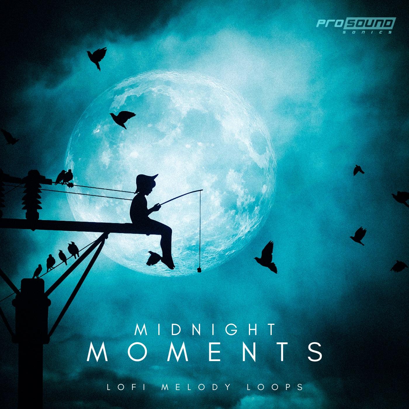 'Midnight Moments' Lofi Melody Loops Sample Pack - Prosound Sonics